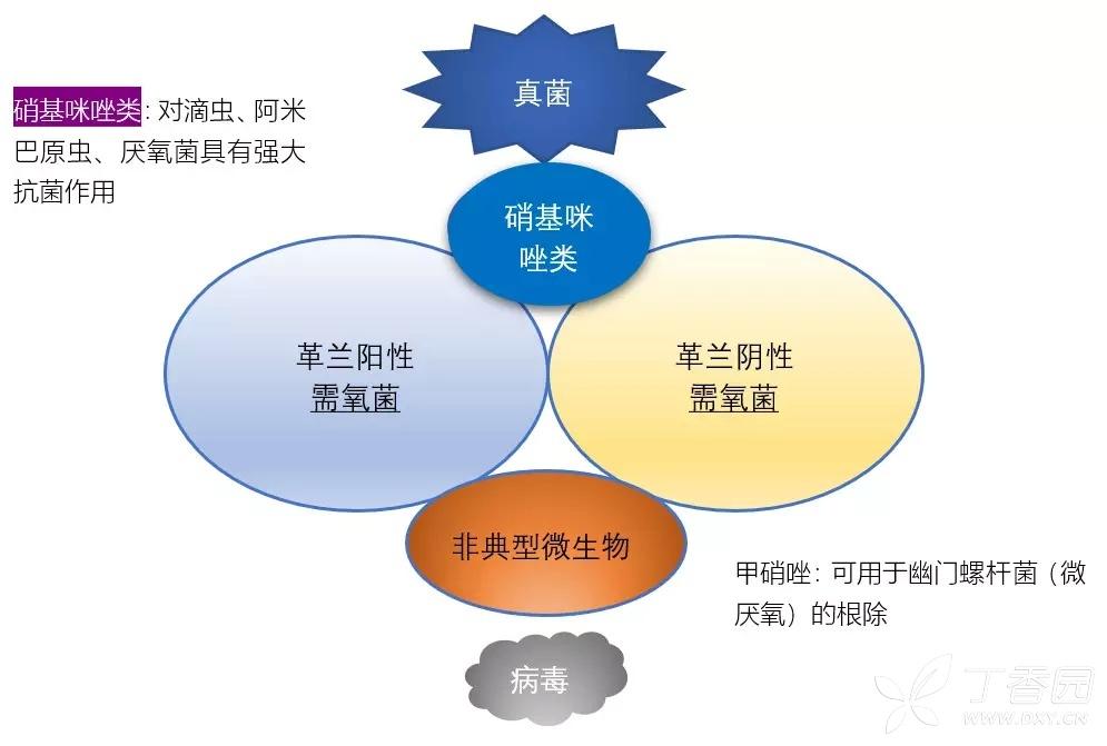 新型抗生素研發(fā)取得重大突破，抗菌領(lǐng)域迎新進(jìn)展