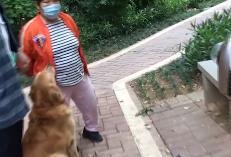 母女公園遭犬只撕咬悲劇，警醒社會的反思與啟示