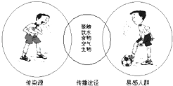 生物傳感器在疾病早期檢測中的貢獻(xiàn)分析