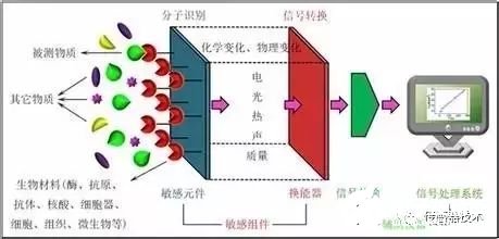 生物傳感器在疾病早期檢測中的貢獻(xiàn)分析