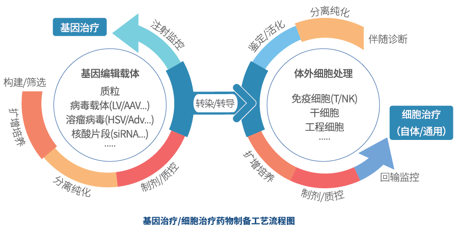 基因組學(xué)研究進(jìn)展推動(dòng)個(gè)性化醫(yī)療向精準(zhǔn)治療邁進(jìn)