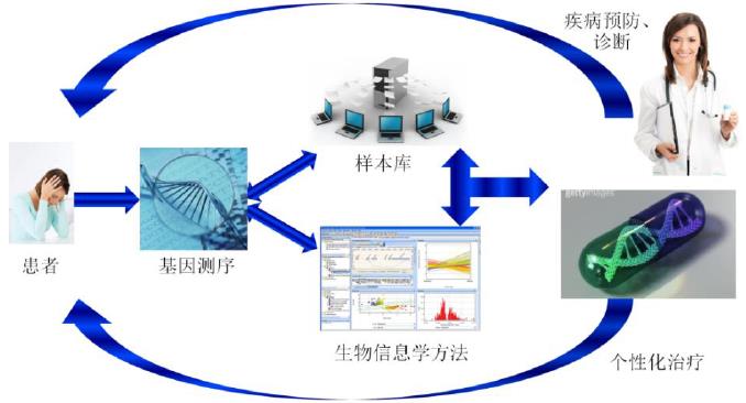 基因組學(xué)研究進(jìn)展推動(dòng)個(gè)性化醫(yī)療向精準(zhǔn)治療邁進(jìn)