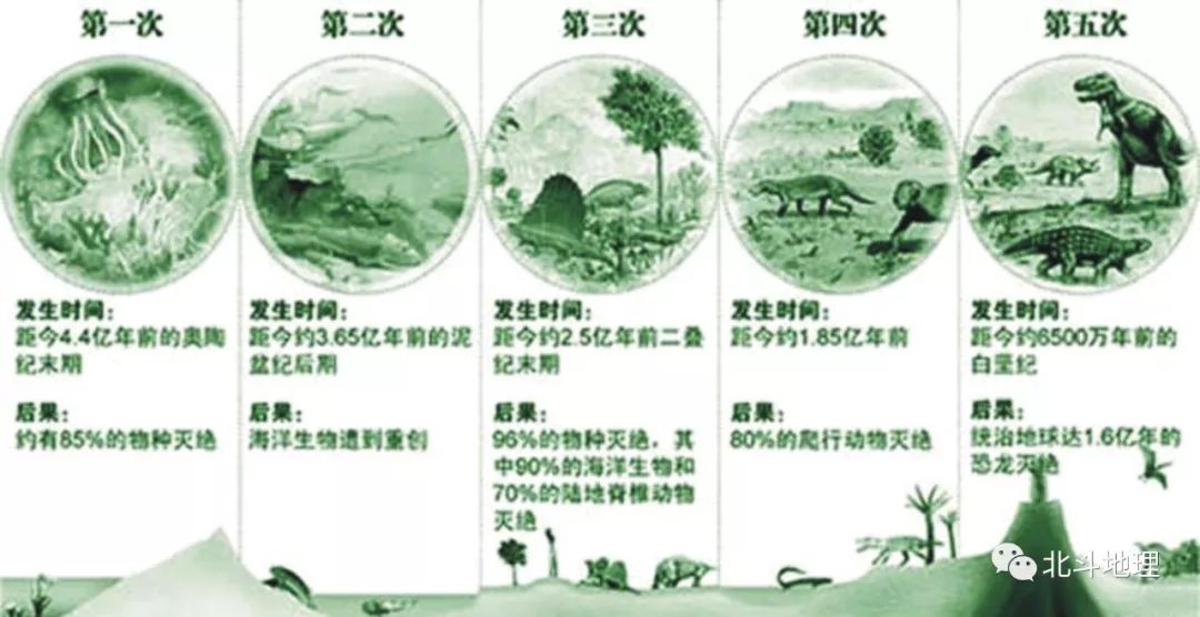 全球生物多樣性保護(hù)與生態(tài)恢復(fù)項(xiàng)目邁入新階段