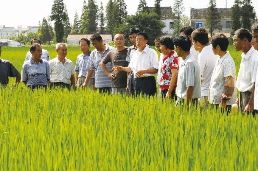 生物農(nóng)業(yè)技術(shù)助力貧困地區(qū)糧食安全提升