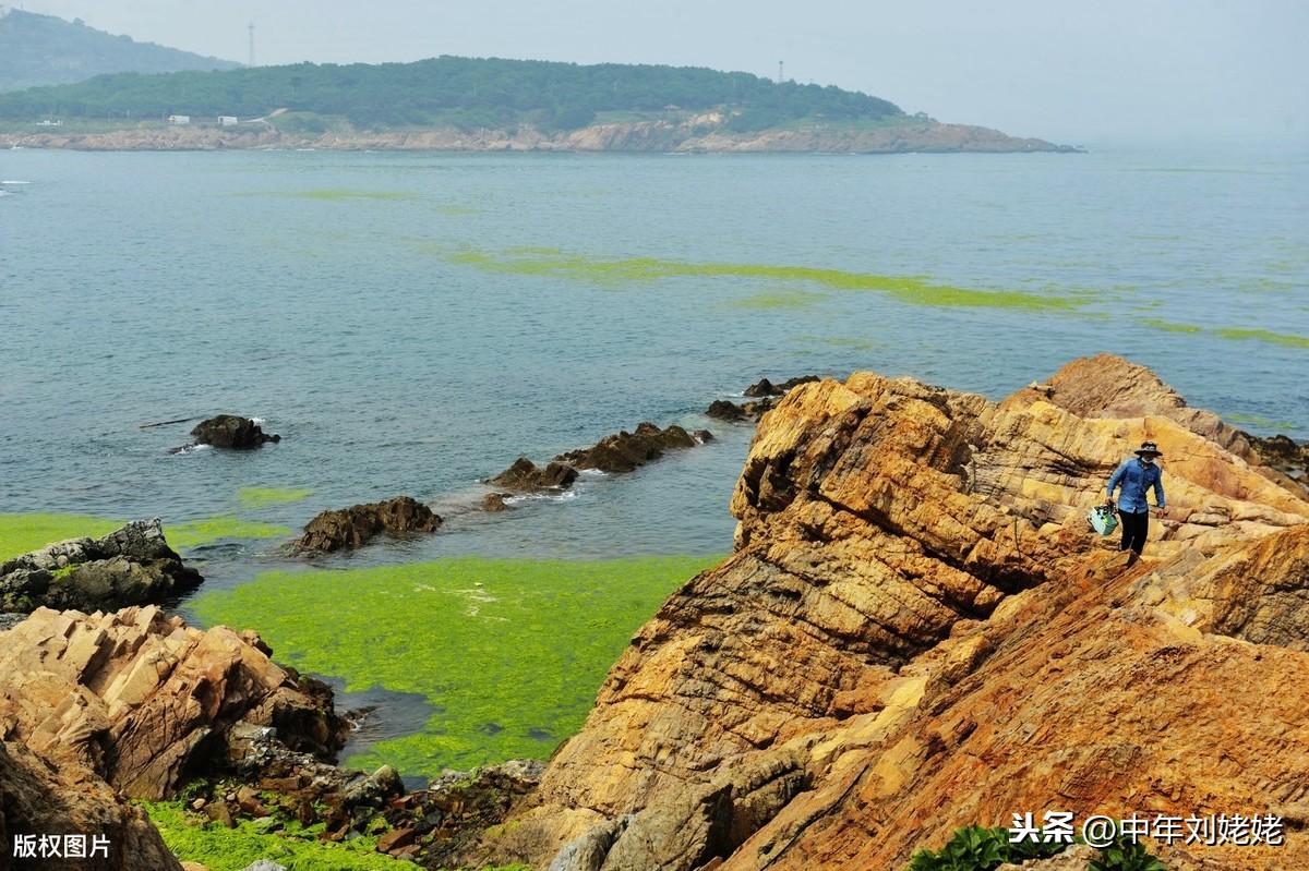 生物燃料生產(chǎn)技術(shù)在能源結(jié)構(gòu)優(yōu)化中的關(guān)鍵作用