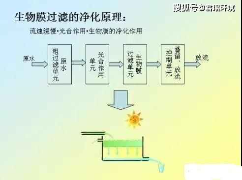 水體凈化裝置在生態(tài)恢復(fù)中的實踐意義