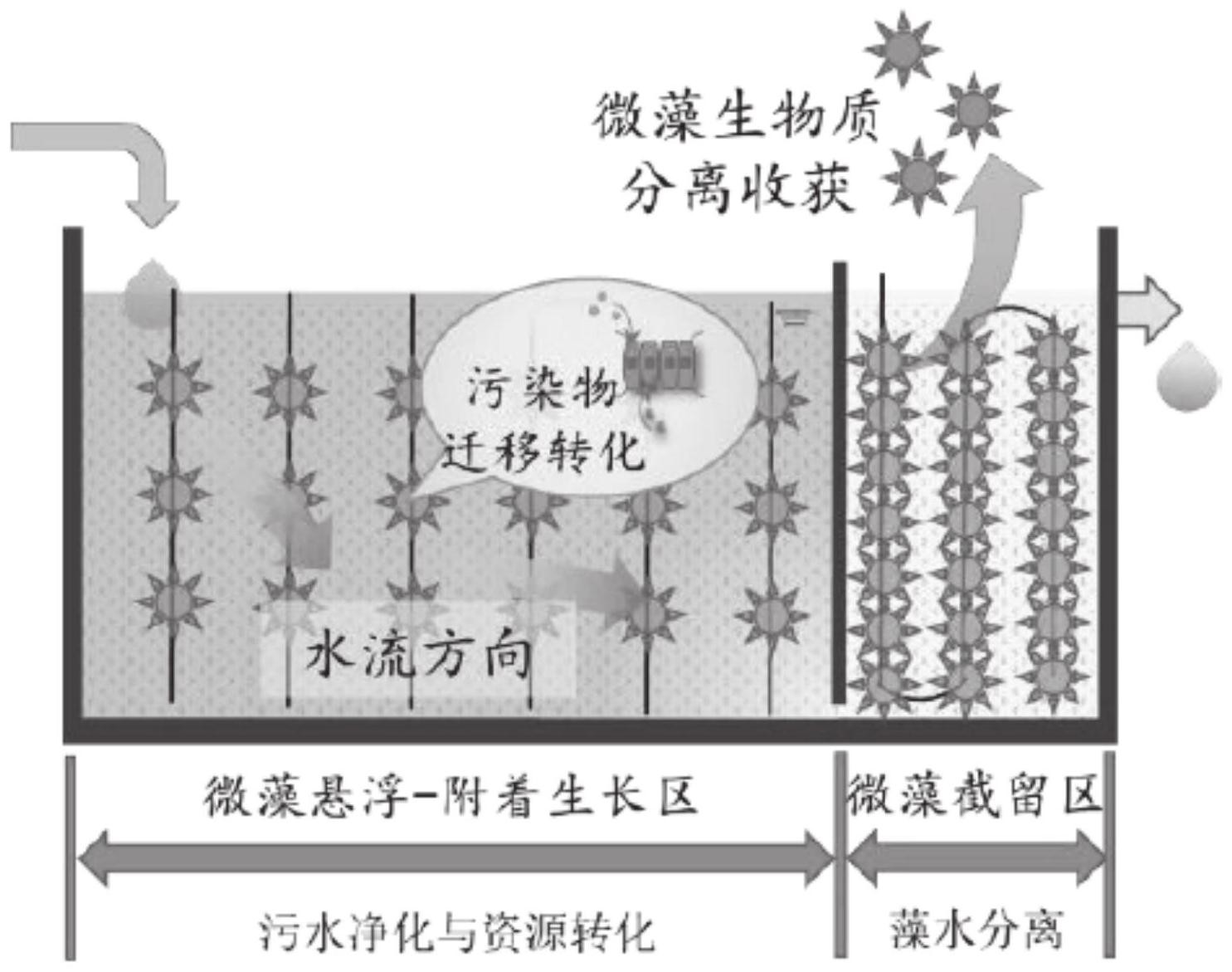 微藻培養(yǎng)技術(shù)在廢水處理中的優(yōu)勢探討