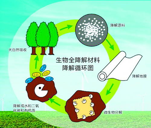 生物降解技術(shù)，解決塑料廢棄物問題的核心策略