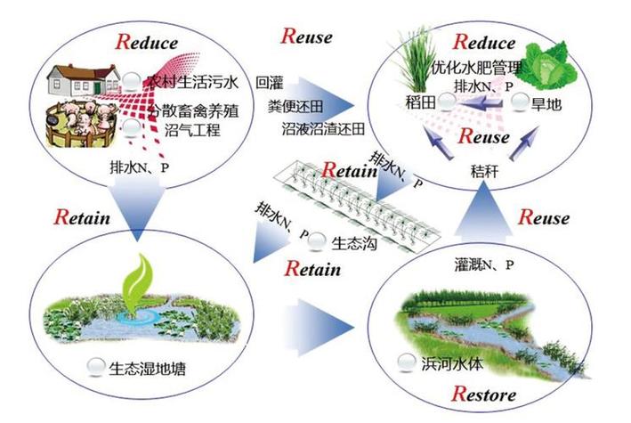 生物工程在生態(tài)環(huán)境修復(fù)中的突破性應(yīng)用