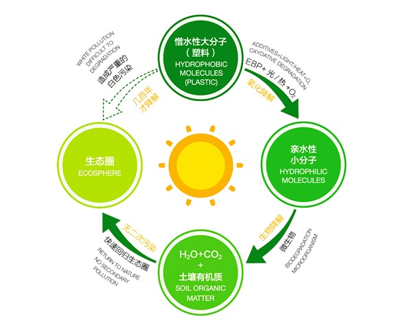 可降解包裝材料對物流生態(tài)鏈的環(huán)保優(yōu)化作用