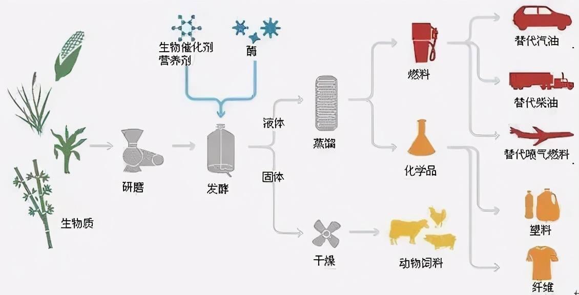 生物基復(fù)合材料在多領(lǐng)域的拓展與廣泛應(yīng)用