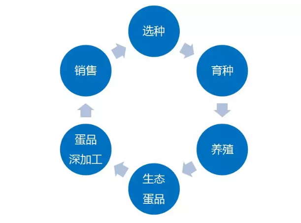 生態(tài)產(chǎn)品制造標(biāo)準(zhǔn)的制定及其行業(yè)推廣的重要性