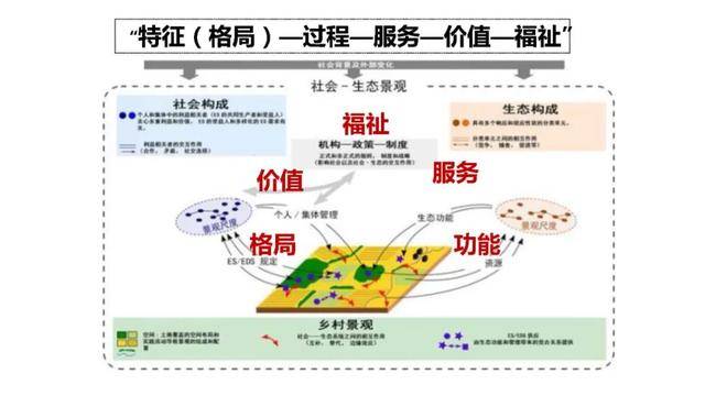 多領(lǐng)域協(xié)作，提升生態(tài)修復(fù)技術(shù)實(shí)施效率