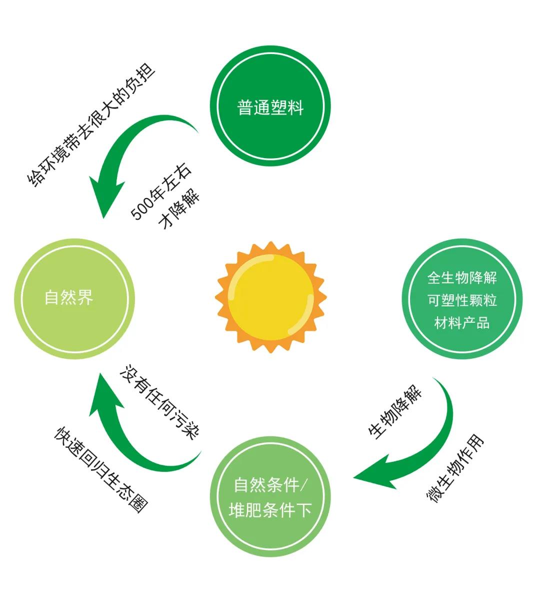 生物降解材料的生產(chǎn)工藝優(yōu)化及市場(chǎng)推廣策略研究