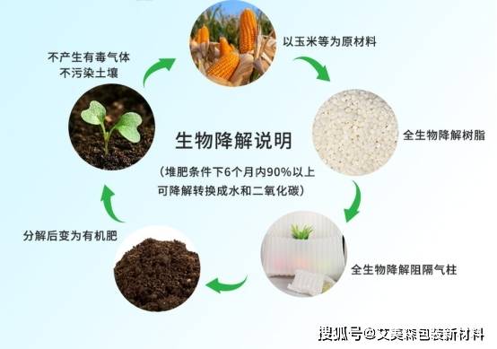 生物降解材料的生產(chǎn)工藝優(yōu)化及市場(chǎng)推廣策略研究