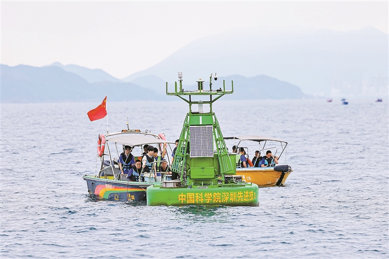 智能海洋浮標在生態(tài)數(shù)據(jù)采集中的實際應用與效果分析