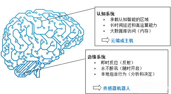 智能傳感網(wǎng)絡(luò)在生態(tài)大規(guī)模監(jiān)測(cè)中的關(guān)鍵作用