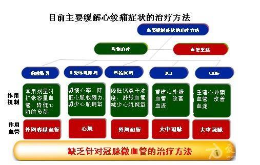 精準藥物治療在心血管疾病中的創(chuàng)新應用與實踐