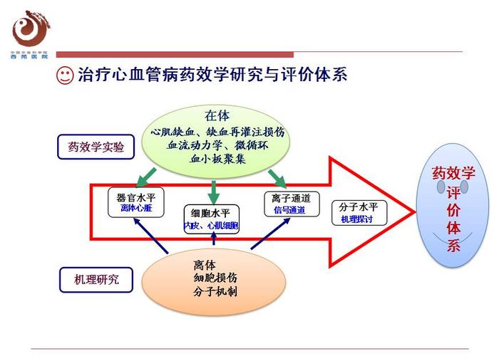 精準藥物治療在心血管疾病中的創(chuàng)新應用與實踐