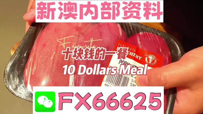 新澳全年免費(fèi)資料大全,動(dòng)態(tài)調(diào)整方案輔導(dǎo)_先鋒款79.421