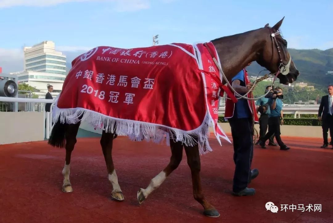 ww777766香港馬會總綱詩,高效設計數(shù)據(jù)分析_復古智慧92.59.74