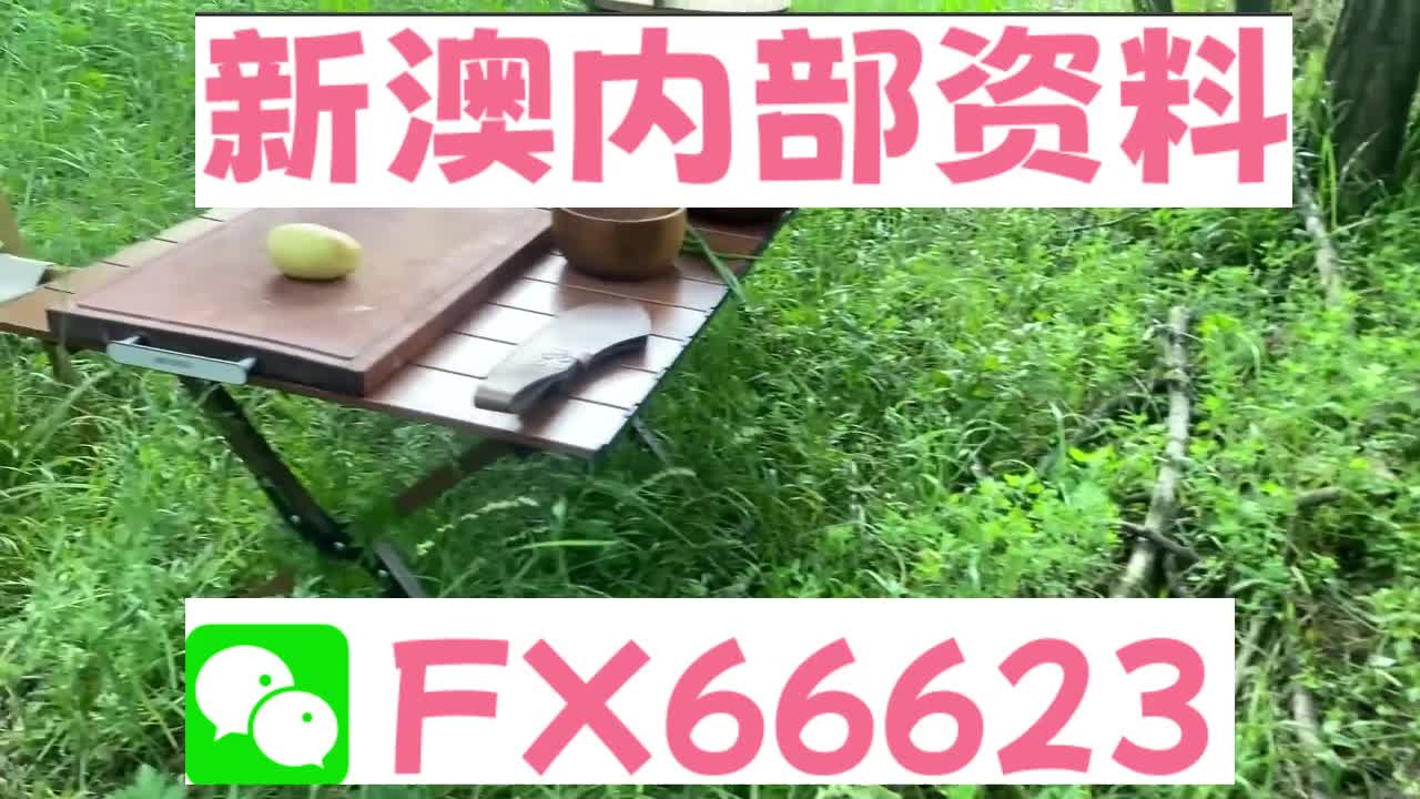 新澳資料免費精準期期準,管理方案實施提升_精英款80.593