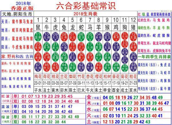 澳門正版資料大全資料生肖卡