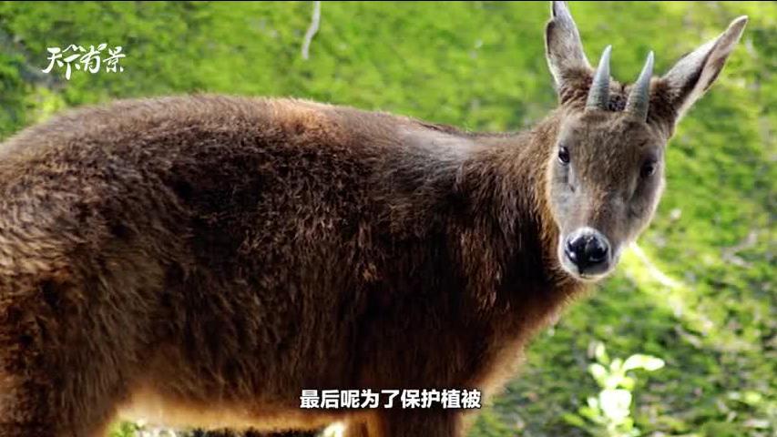 新澳2024今晚開(kāi)獎(jiǎng)資料四不像,工程實(shí)施核心詳解_遠(yuǎn)見(jiàn)版39.84.26