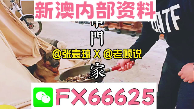 新澳門管家婆一句,全域協(xié)同執(zhí)行路徑_智核版69.14.58