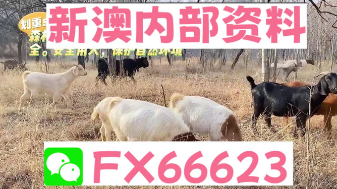 2004新澳正版兔費(fèi)大全,任務(wù)導(dǎo)向型方案調(diào)整_靈策版85.28.35