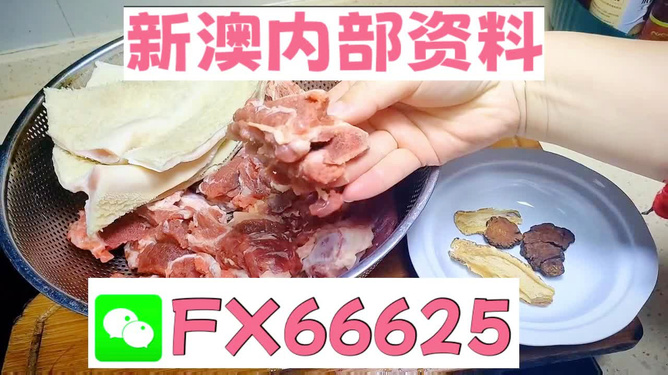 新澳資料長期兔費(fèi)資料,高效項(xiàng)目執(zhí)行方案_靈感集97.29.43