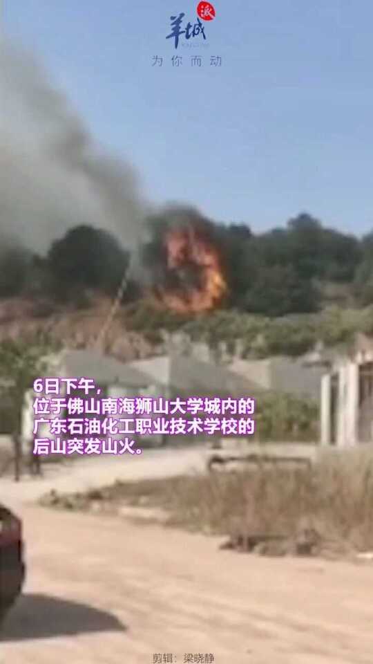 佛山獅山大學(xué)城山火事件通報，突發(fā)火情迅速應(yīng)對