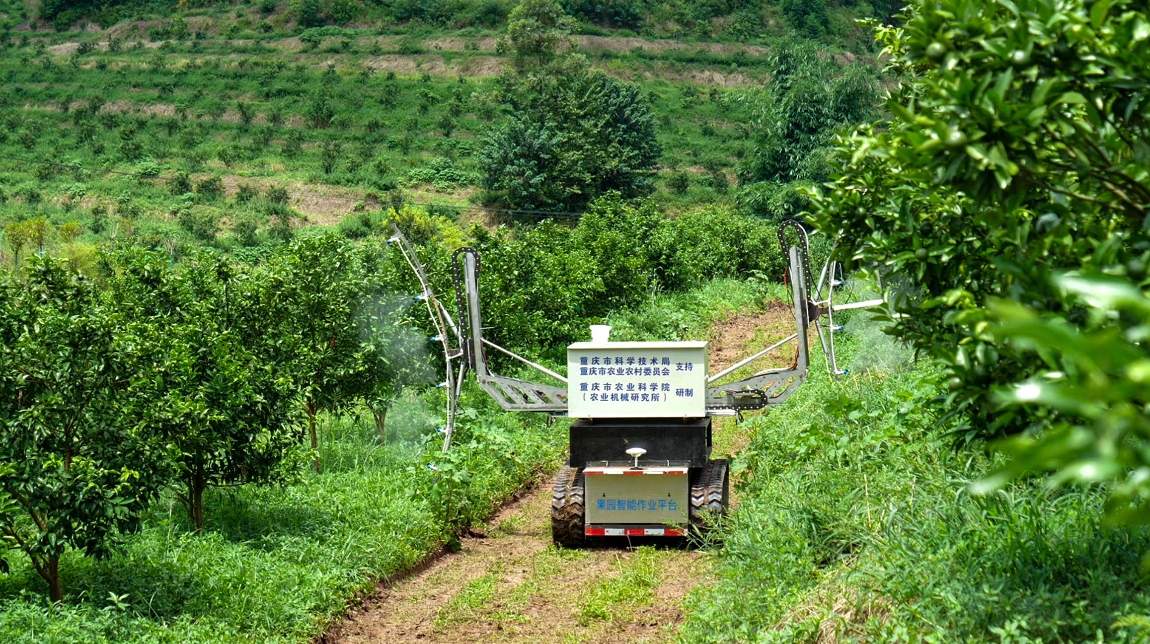 科技助力山地農(nóng)業(yè)轉(zhuǎn)型，提升生態(tài)產(chǎn)出效益