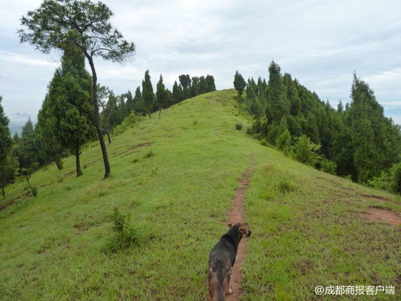 山地能源開發(fā)新模式，清潔能源與可持續(xù)性的和諧融合