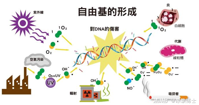 山地景觀保護(hù)與城市化進(jìn)程的平衡，挑戰(zhàn)與策略探究