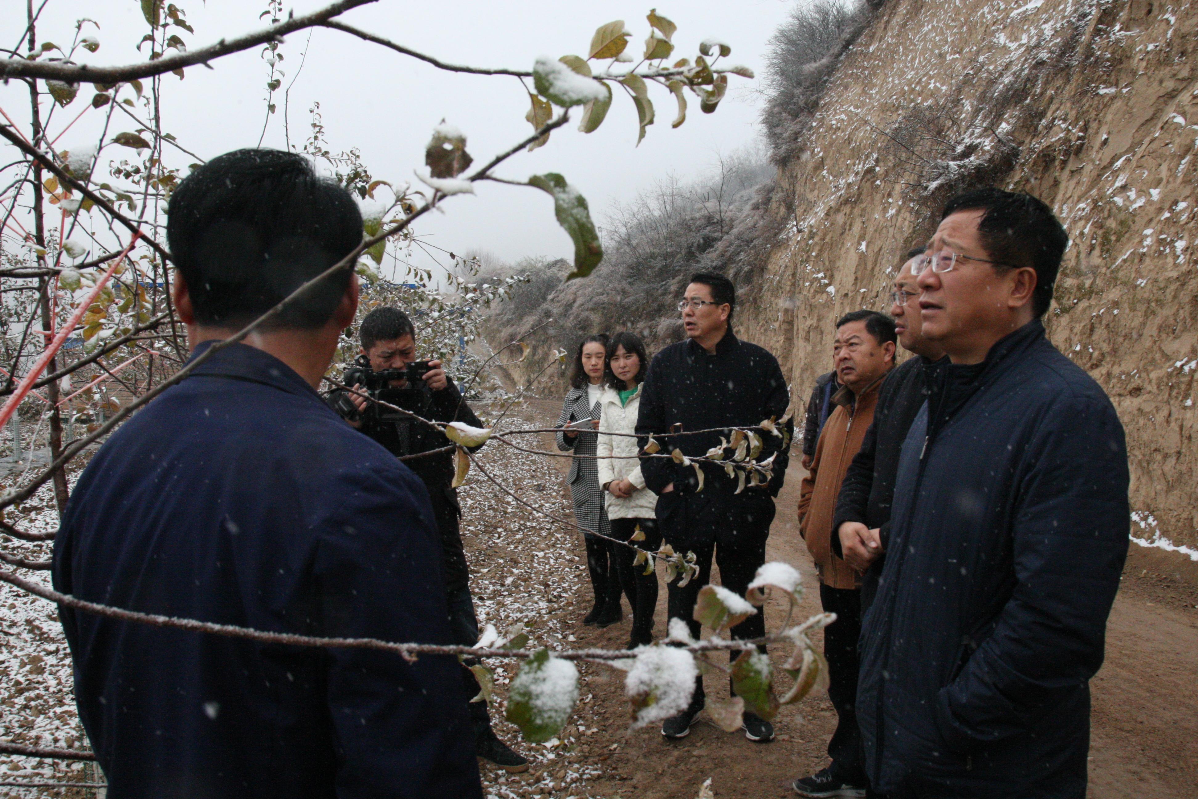 山地農(nóng)業(yè)種植新技術(shù)助力農(nóng)民增收致富新篇章