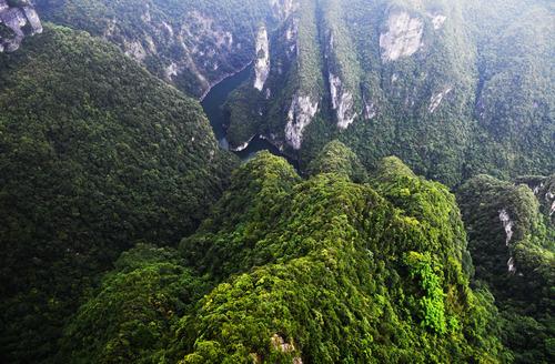 山地生態(tài)環(huán)境修復(fù)創(chuàng)新措施研究與實踐