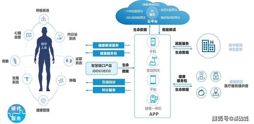 大數(shù)據(jù)驅(qū)動個(gè)性化健康管理革新發(fā)展之路