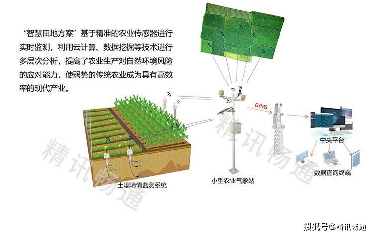 智能化農(nóng)業(yè)，提升農(nóng)田管理效益的核心路徑