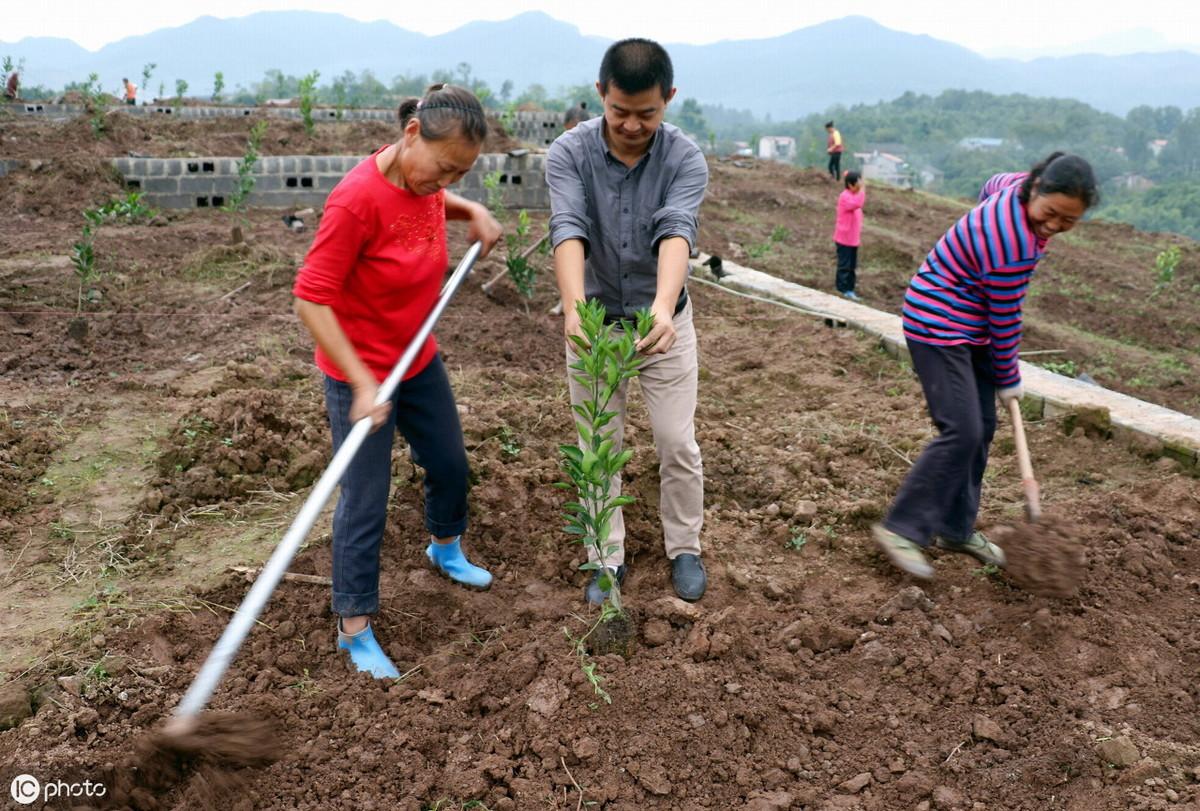 山地氣候變化適應(yīng)性應(yīng)對(duì)策略探討