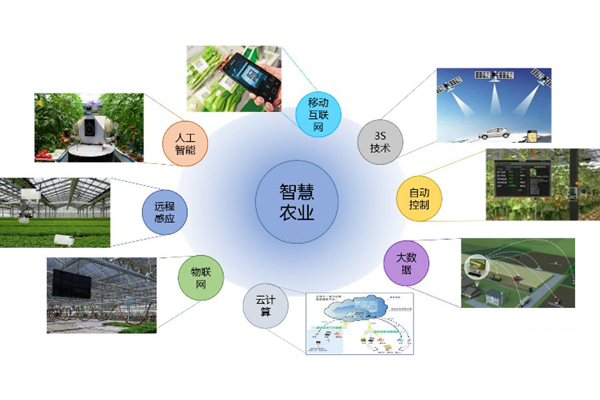 山地農(nóng)業(yè)智能化生產(chǎn)系統(tǒng)的未來展望與趨勢分析