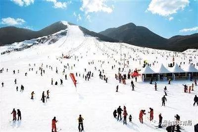 山地滑雪市場消費者趨勢深度解析