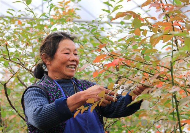 山地農業(yè)生產方式的革新與轉型升級探索