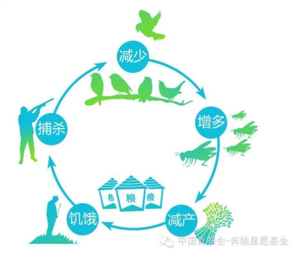 山地生物多樣性保護(hù)的有效措施