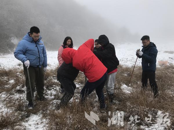 山地氣候變化與生物多樣性關(guān)聯(lián)研究