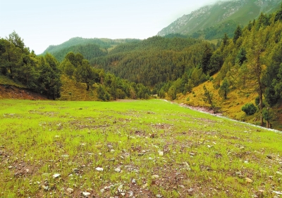 山地生態(tài)保護政策的完善與執(zhí)行力提升