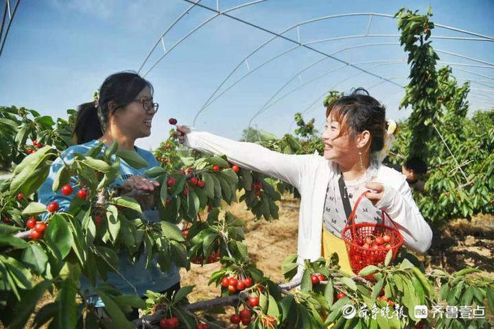 山地生物保護與生態(tài)修復(fù)創(chuàng)新模式探究