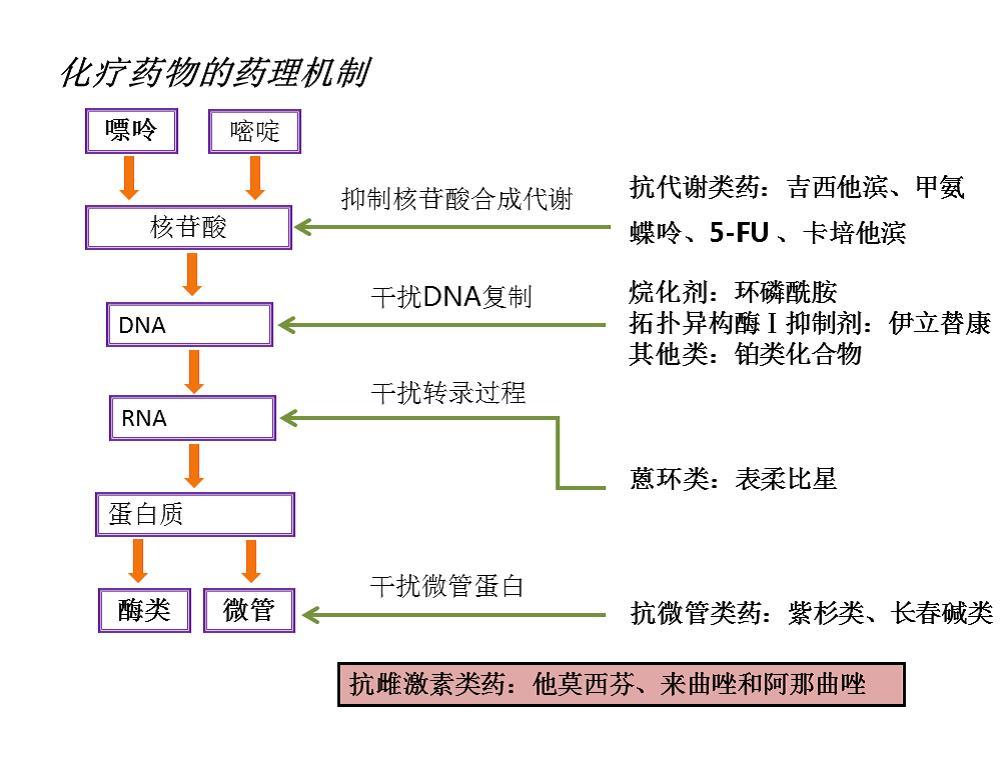 基因檢測(cè)推動(dòng)個(gè)體化健康管理進(jìn)步