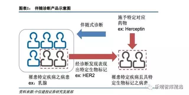 精準醫(yī)療在罕見病診斷中的潛力與前景