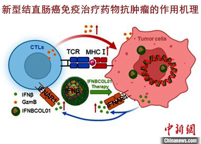 精準治療在癌癥免疫療法中的創(chuàng)新應用與實踐